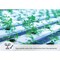 Miracle Led 3-Socket Plant Survival Grow Light Kit- Blue Spec. 14W Replace 150W Grow Bulbs, 4PK 801948 - alternate 4